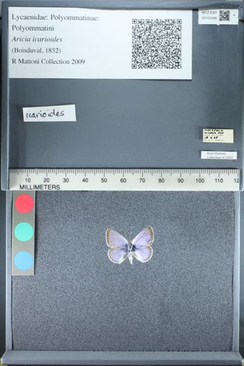 Media type: image;   Entomology 155006